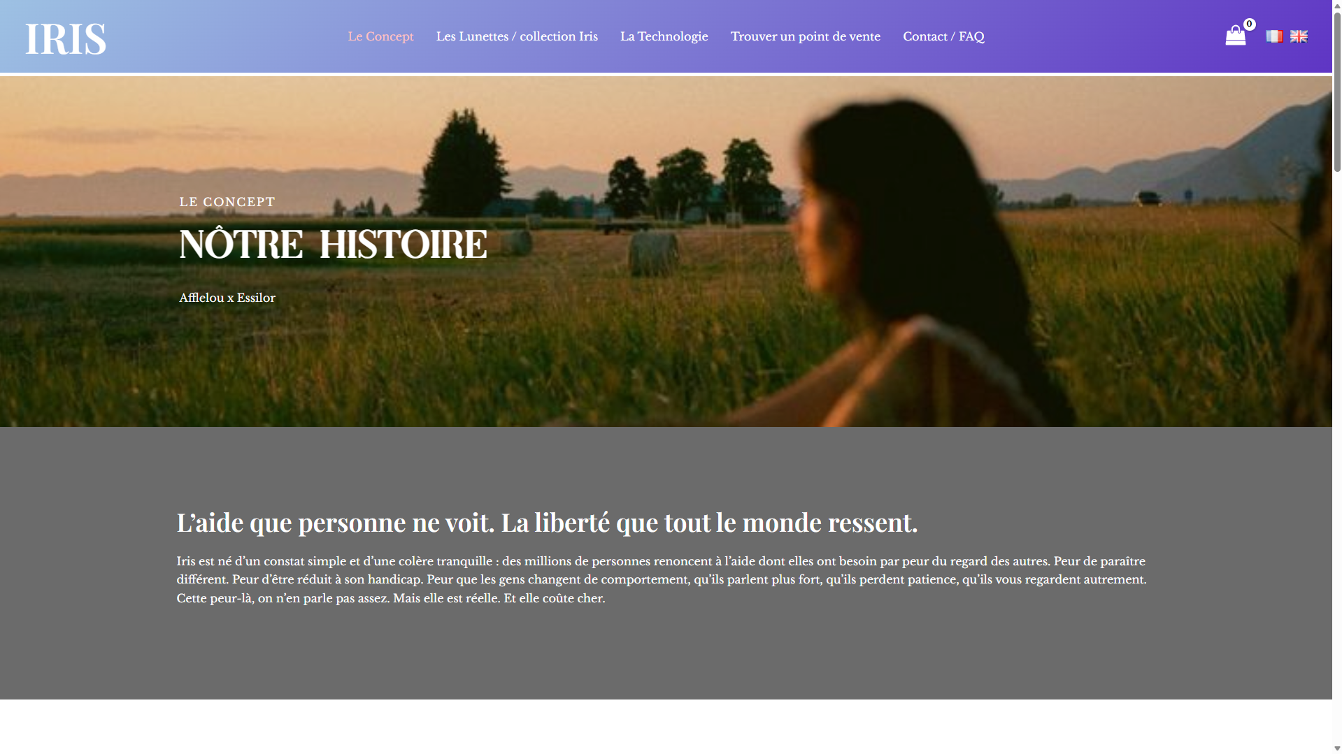Page Concept du site